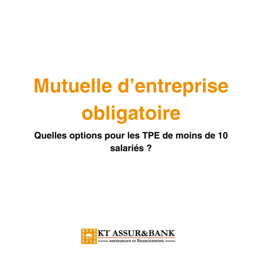 Mutuelle d’entreprise obligatoire : quelles options pour les TPE de moins de 10 salariés ?