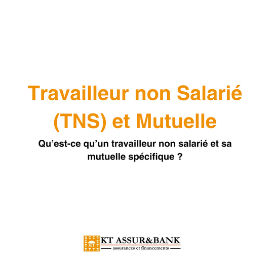 Qu'est-ce qu'un Travailleur Non Salarié (TNS) et son Assurance Mutuelle ?